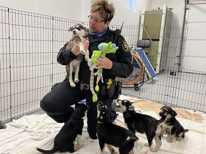 Alpena County Animal Control receives state grant News, Sports, Jobs